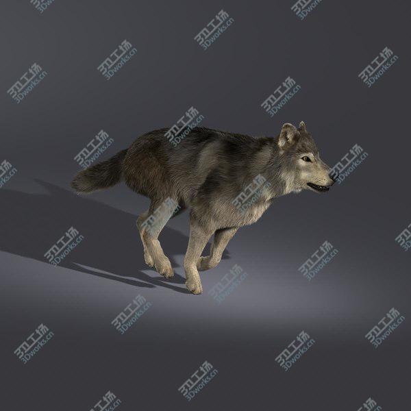 images/goods_img/20210312/Wolf  FUR ANIMATED/5.jpg